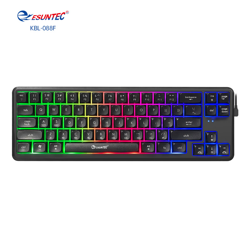 USB Wired Gaming Keyboard 68 Keys for Desktop/Laptop English Computer Gaming Keyboard with Colorful LED Backlit, KBL-088F